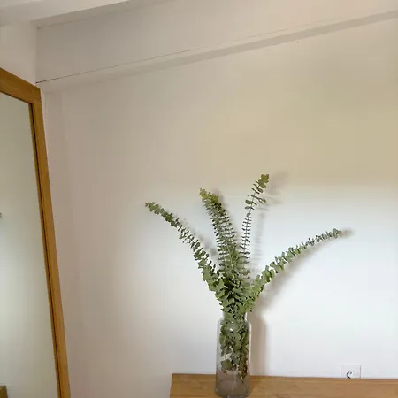 Le Ferienhaus *