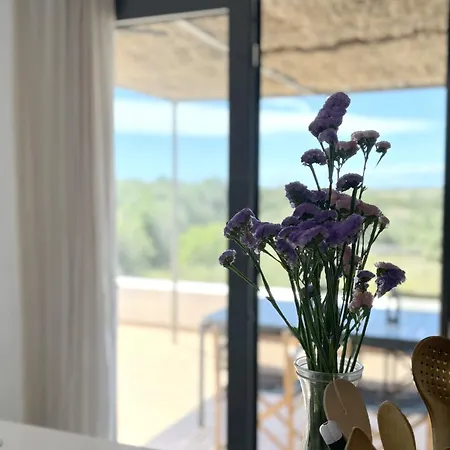 Le Сasa de vacaciones Ferreries (Ferrerías)